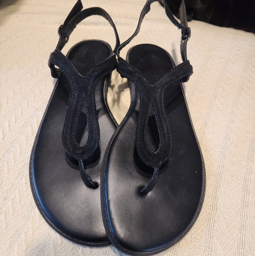 Torrid Sandals